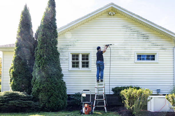 Deck Cleaning Services in Marquette Heights, IL